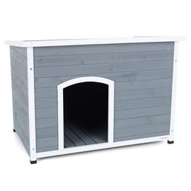 Dog House - PROMINENT DINO