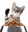 Food for Cats