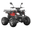 ATVs for road use