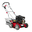 Petrol Scarifiers
