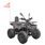 Gasoline ATV - HECHT 56130 RED