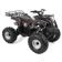 Petrol Quad Bike - HECHT 56126 HURON