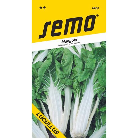 Swiss Chard - Lucullus Yellow-Green 3g