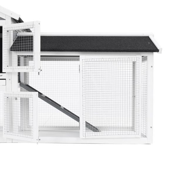 Rabbit Hutch - PROMINENT MOLLY