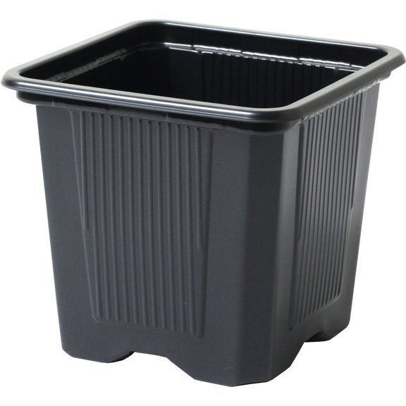 Soft Quality Container 8x8x7 cm - 10 pcs