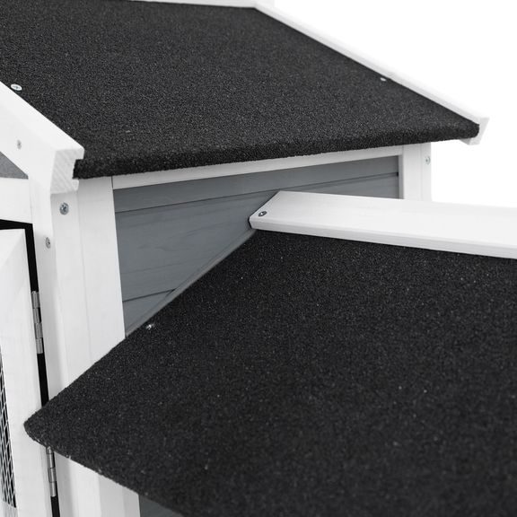 Rabbit Hutch - PROMINENT MOLLY