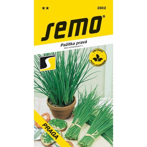 Chives - Praga 1.8g