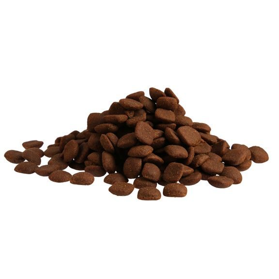 Prominent DOG ADULT LARGE BREED 12 kg