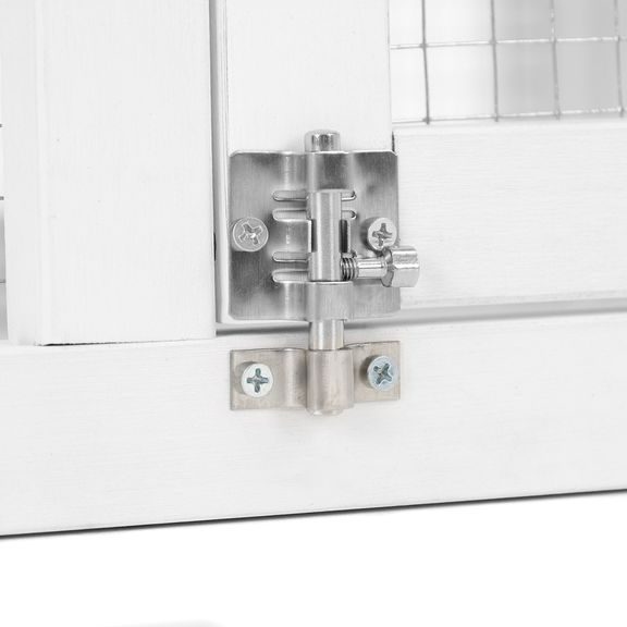 Rabbit Hutch - PROMINENT MOLLY