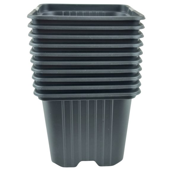 Soft Quality Container 8x8x7 cm - 10 pcs