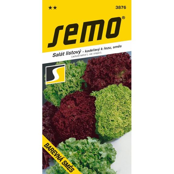 Curly Lettuce for Cutting - Colourful Mix of Varieties 0.8g