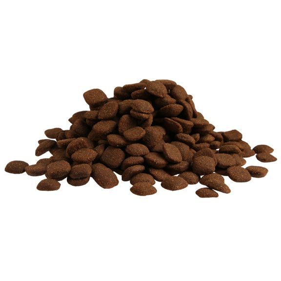 Prominent DOG JUNIOR LARGE BREED 3 kg