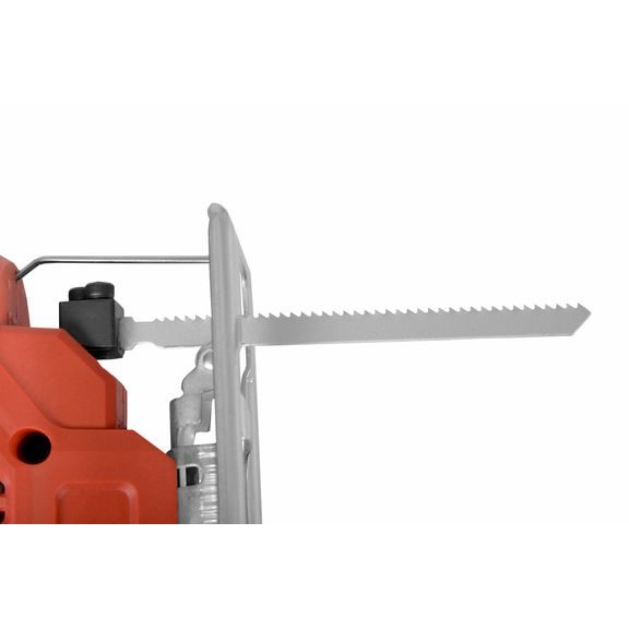 Detail pilového listu