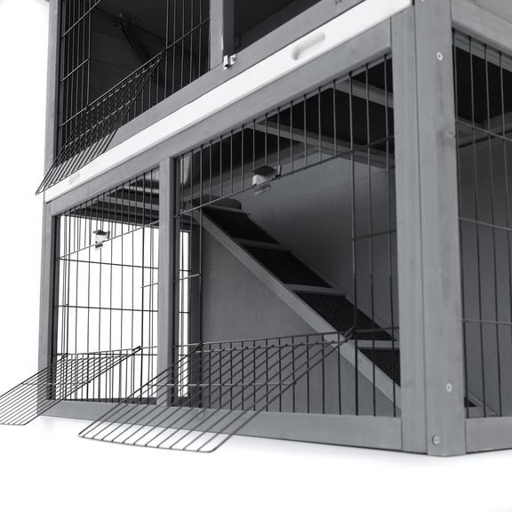 Rabbit Hutch - PROMINENT BUNNY