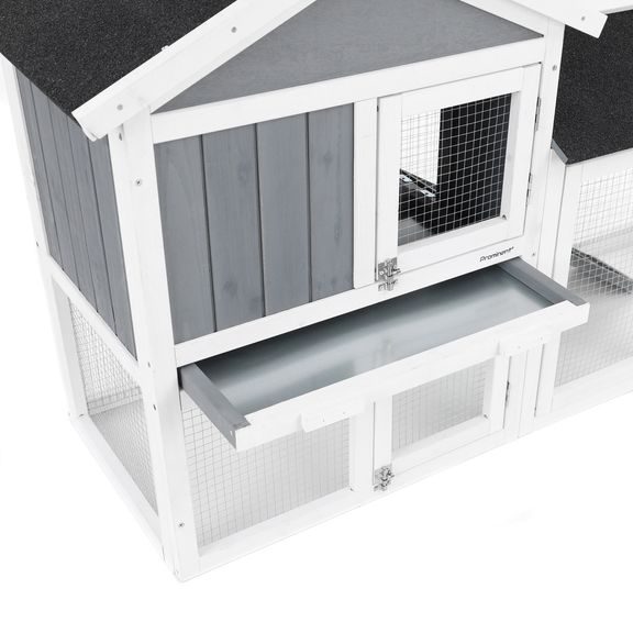 Rabbit Hutch - PROMINENT MOLLY