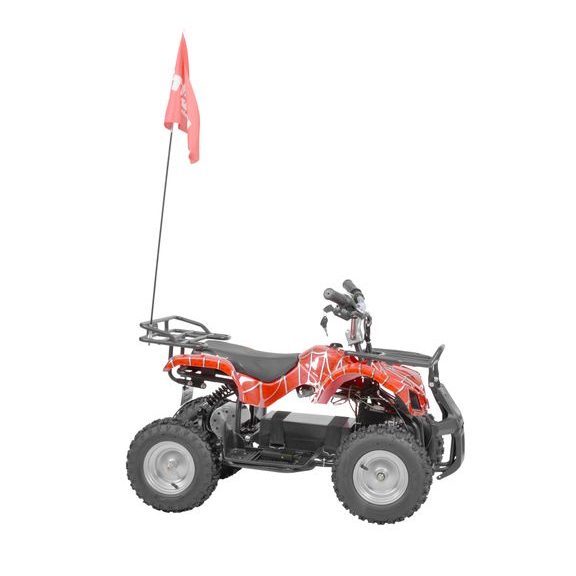 Accu Quad - HECHT 56800