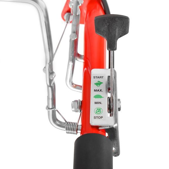 Motorized self-seeded weed trimmer - HECHT 5060