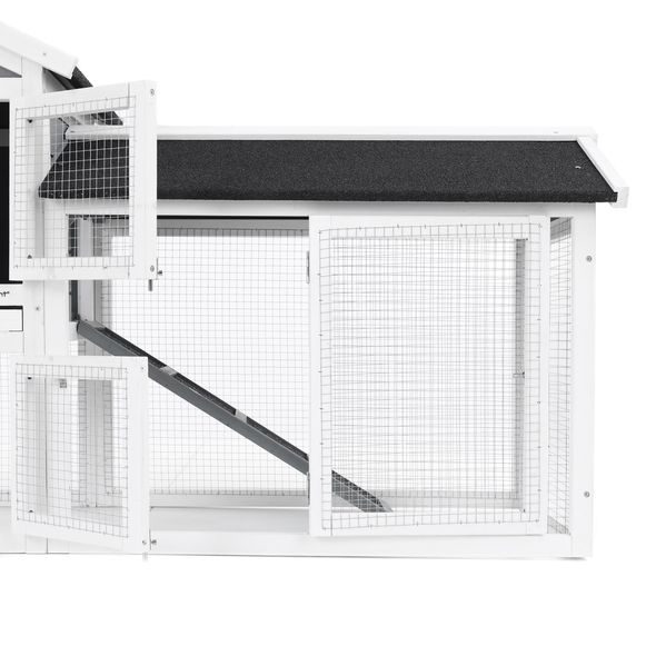 RABBIT HUTCH - PROMINENT MOLLY
