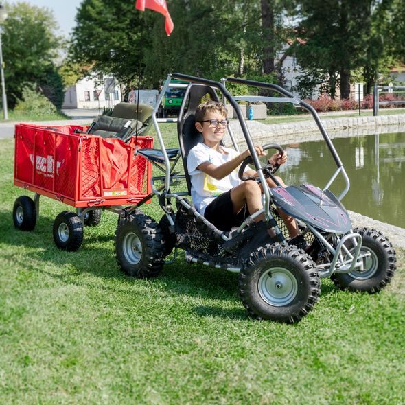 ACCU BUGGY - HECHT 54899 SILVER