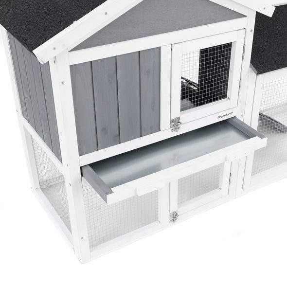 RABBIT HUTCH - PROMINENT MOLLY