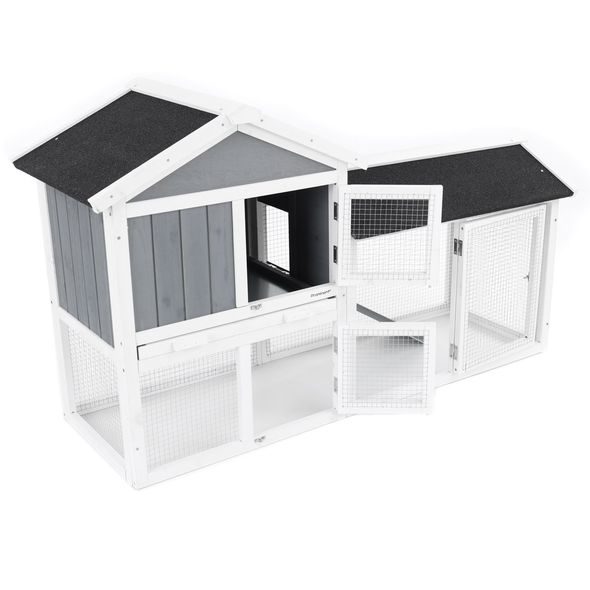 RABBIT HUTCH - PROMINENT MOLLY