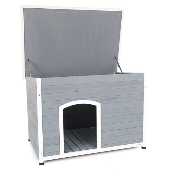 DOG HOUSE - PROMINENT DINO