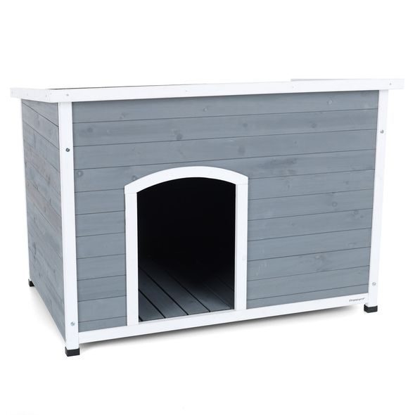 DOG HOUSE - PROMINENT DINO