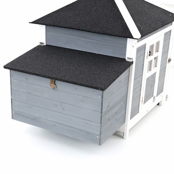 CHICKEN COOP - PROMINENT OREO
