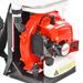 PETROL KNAPSACK SPRAYER - HECHT 443 - PETROL - GARDEN