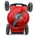 PETROL LAWN MOWER WITH SELF PROPELLED SYSTEM - HECHT 543 SX - SELF PROPELLED - GARDEN