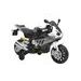 BMW S1000RR GREY MOTOCYKL - VEHICLES{% if kategorie.adresa_nazvy[0] != zbozi.kategorie.nazev %} - CHILDREN TOYS{% endif %}