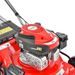 PETROL LAWN MOWER WITH SELF PROPELLED SYSTEM - HECHT 546 SCW 5 IN 1 - SELF PROPELLED - GARDEN