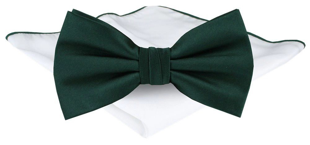 Eleganten temnozeleni moški metuljček