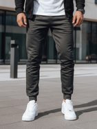 Moderne moške trenirke v sivi barvi