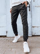 Zanimiva grafit moška trenirka