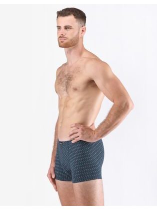 Modne rjave kratke hlače s pasovi V16 SRBC-0101