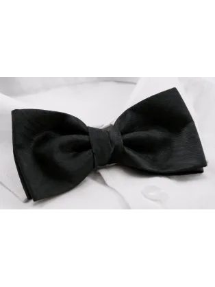 Eleganten temno moder moški metuljček