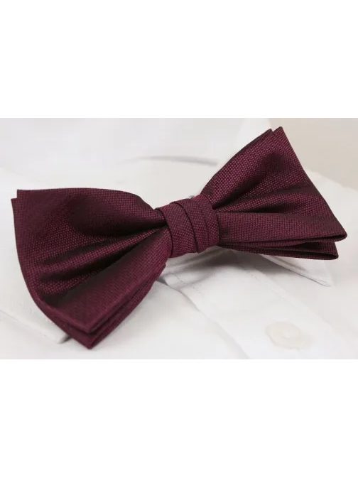 Eleganten bordo metuljček Chattier