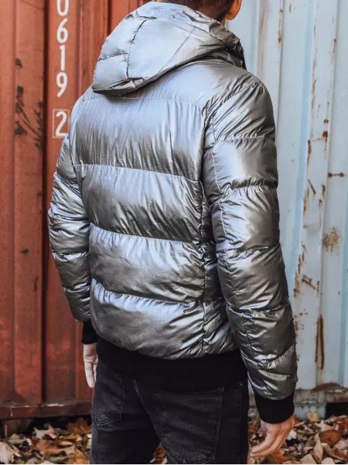 Zanimiva srebrna zimska bunda s kapuco