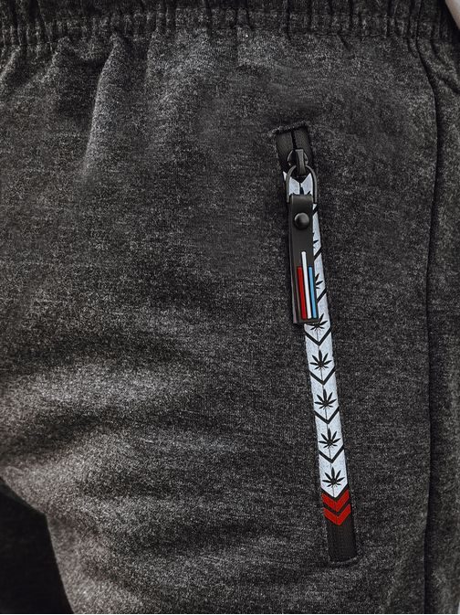 Zanimiva grafit moška trenirka