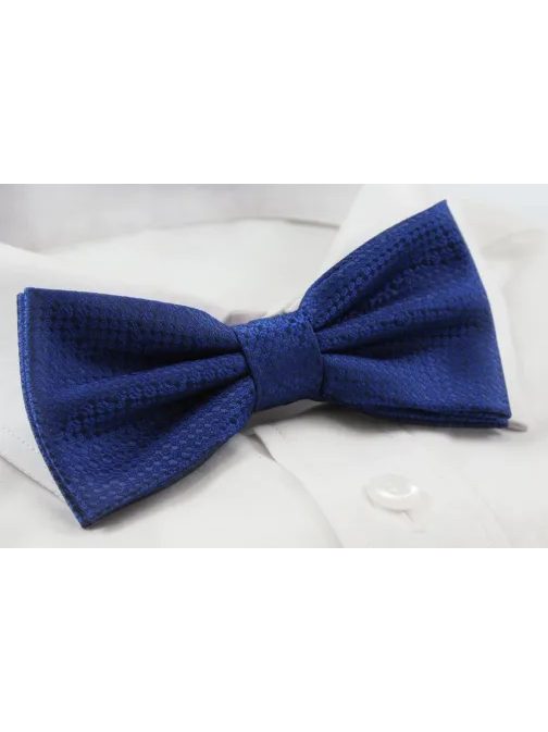 Elegantna modra moška metuljčka Alties