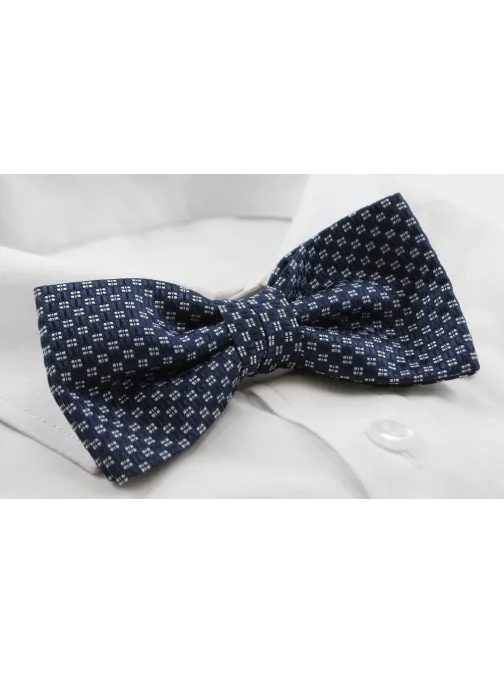 Temno modra moška metuljčka z vzorcem