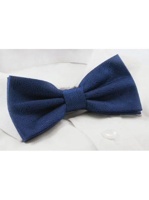 Eleganten temno moder moški metuljček