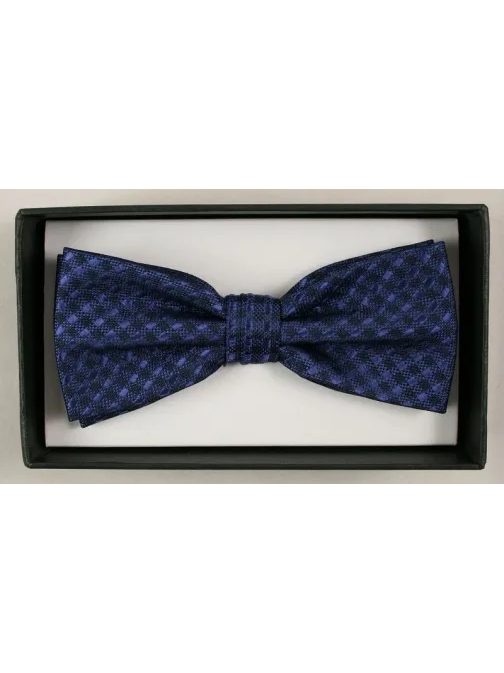 Vzorčasti temno moder moški metuljček Alties