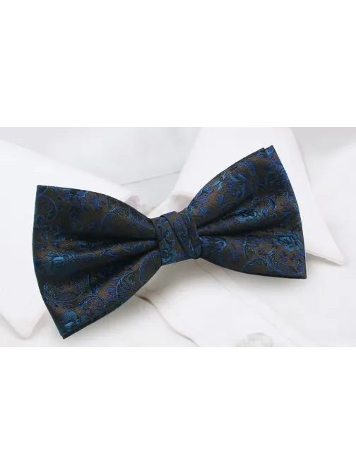 Modro-rjava moška metuljčka Chattier