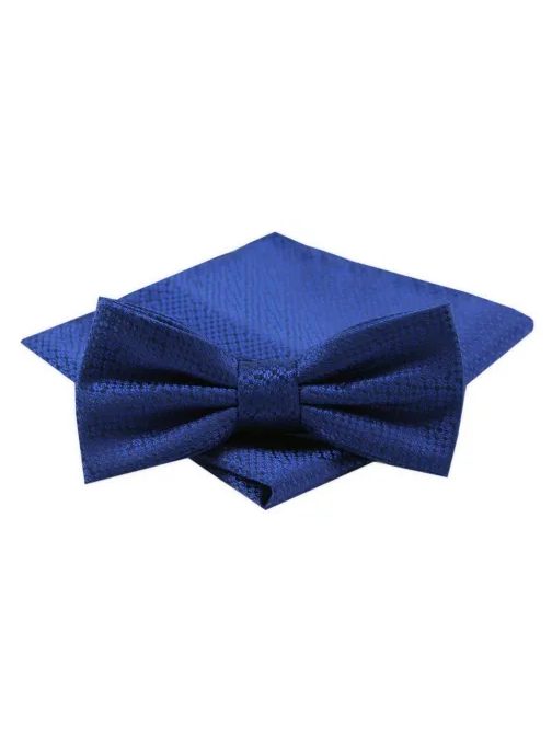 Elegantna modra moška metuljčka Alties