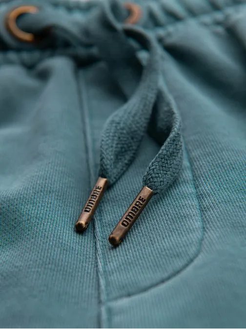 Osnovne turkizne moške kratke hlače V1 SRWS-0122