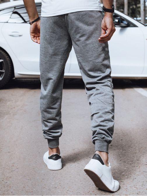 Udobne trenirke v sivi barvi