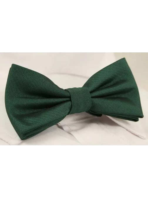 Enobarvna zelena moška metuljčka Chattier