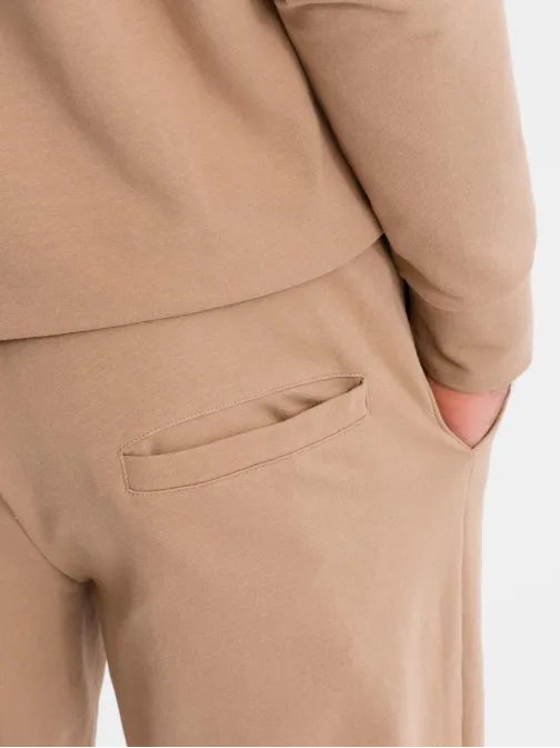 Rjava moška trenerska obleka (majica + trenirka) V3 Z107